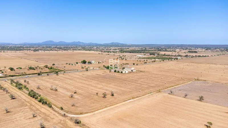 Rustic Finca for sale in Campos — photo 8