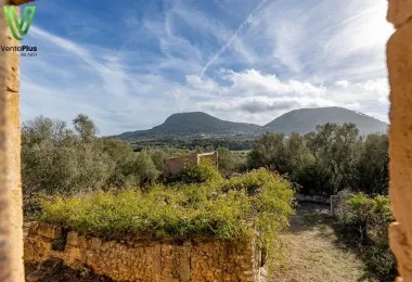 Charming rustic finca in Randa — photo 3