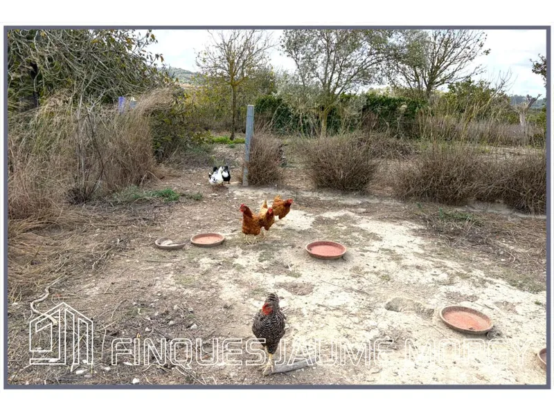 Rustic house — photo 10