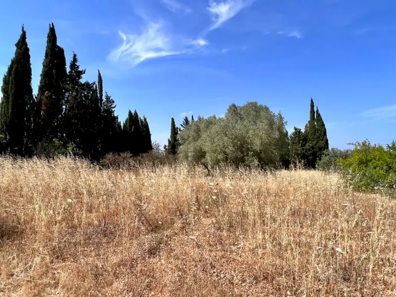On the outskirts of Muro, next to the train station, we have this beautiful rustic estate with about 7,200 m2 of land and about 40 m2 — photo 3