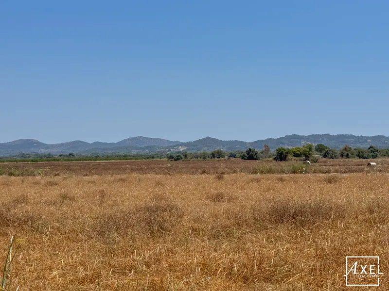 Between heaven and earth – natural plot with distant views — photo 3