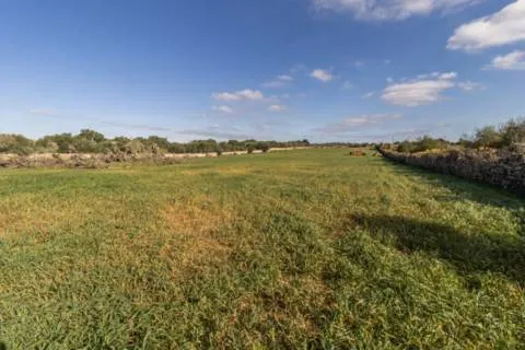 Plot — photo 9
