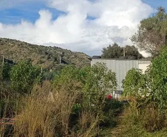 Sale of Rustic Houses Sant Llorenç des Cardassar — photo 7