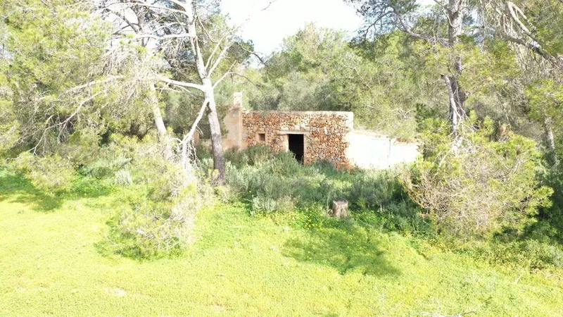 Rustic plot 5 minutes from Porto Petro — photo 4