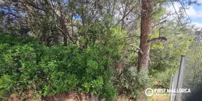 Real estate picture 0 Ref. No. 75132 — photo 3