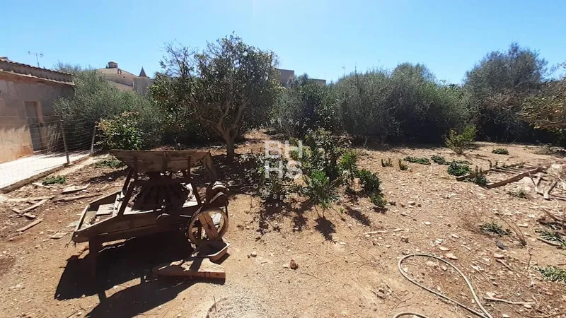 Building Plot for sale in Alqueria Blanca — photo 2
