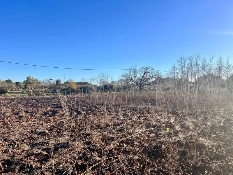 Rustic Finca in Campanet with Spectacular Views — photo 11
