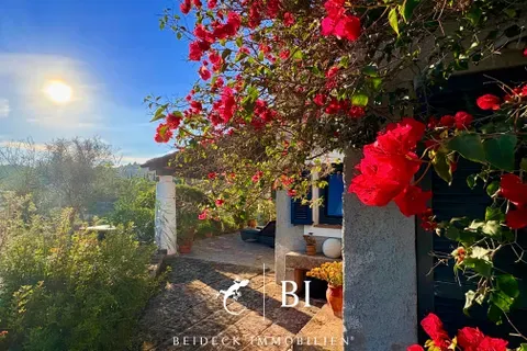 Finca in Son Macia, Mallorca — photo 3