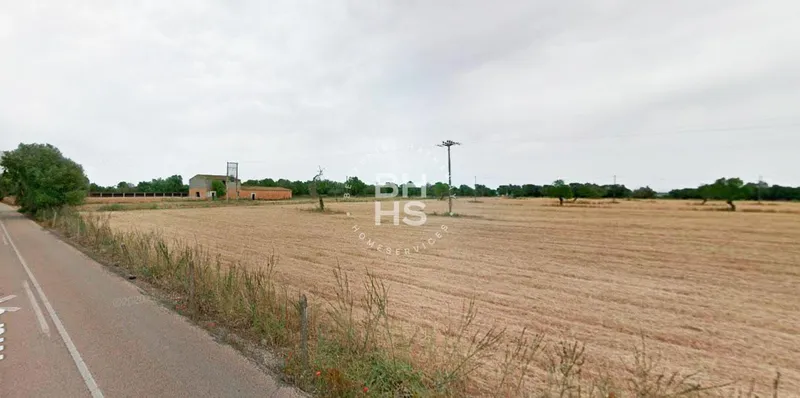 Rustic Finca for sale in Vilafranca de Bonany — photo 7