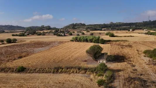 Rustic Land - Maria de la Salut — photo 7