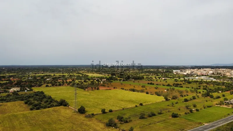 Plot in Llucmajor — photo 9