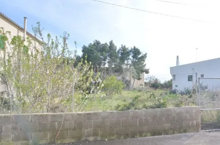 Rural Land - Santanyí (Alqueria Blanca) — photo 4