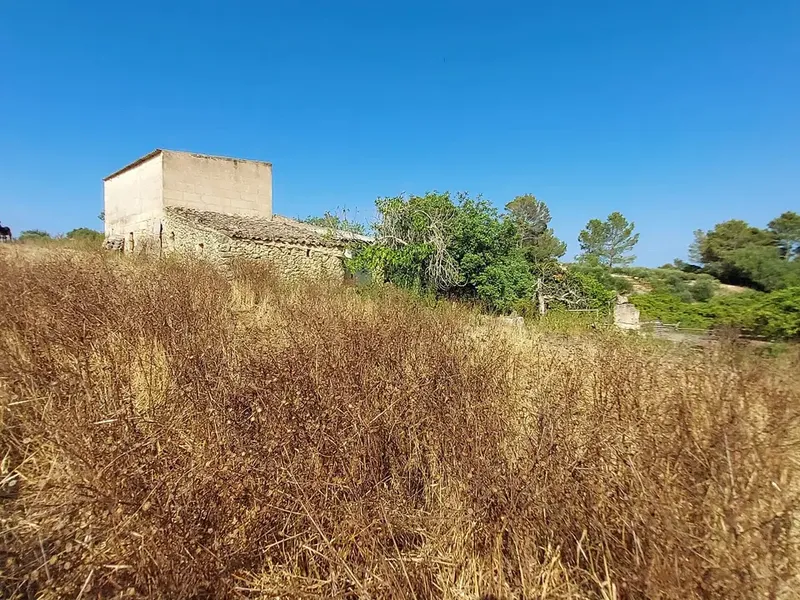 Land in Maria de la Salut, Mallorca — photo 3
