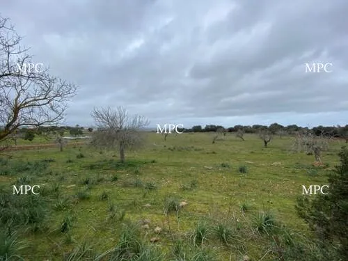 Large piece of land 42,985 m² possible to construct country home with excellent sea & mountain views in Sos Ferrers, Manacor — photo 1