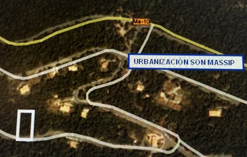 Large Buildable Plot in the Middle of Nature in Sierra de Tramuntana — photo 4