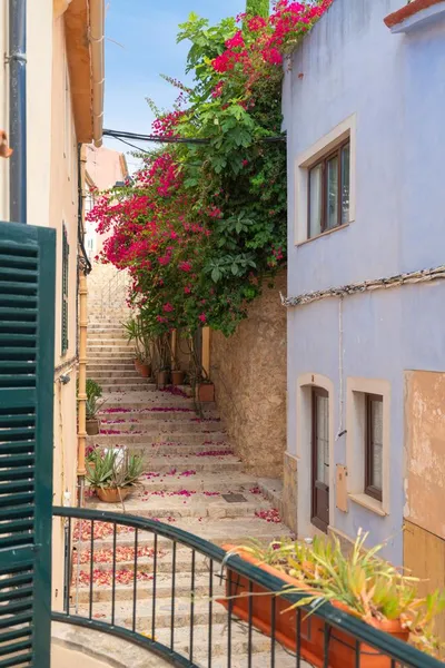Mallorcan village house with charm and sea views in Andratx — photo 10