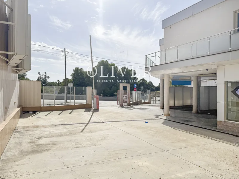 Plot in Porto Pi — photo 10