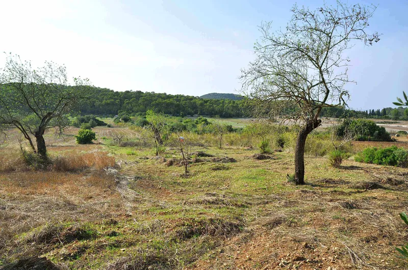 Rustic Land-plot In Sa... — photo 1