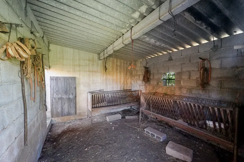 Country house with many usage options near Felanitx — photo 8