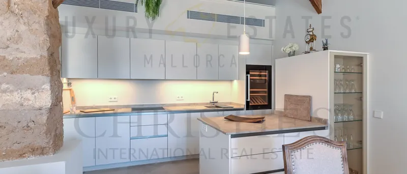 Modern Mediterranean penthouse apartment in Santa Maria in Mallorca — photo 5
