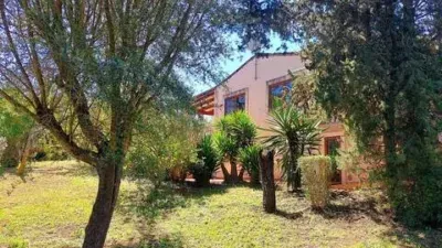 Casa rústica en Sencelles — photo 5