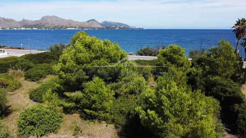 Building plots in first line of the sea in Port Pollensa — photo 4
