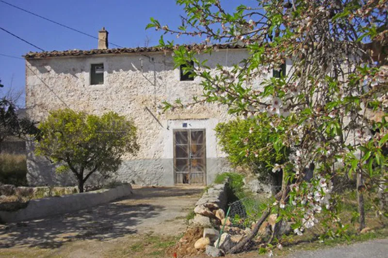 Finca for renovation in Santa Maria — photo 1