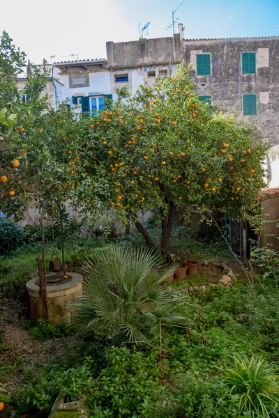 Spacious apartment in a quiet area of the Old Town – Monti-Sión — photo 10