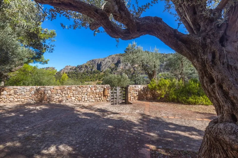 Charming Mountain Cottage with Views and Total Tranquility – Port de Sóller — photo 4