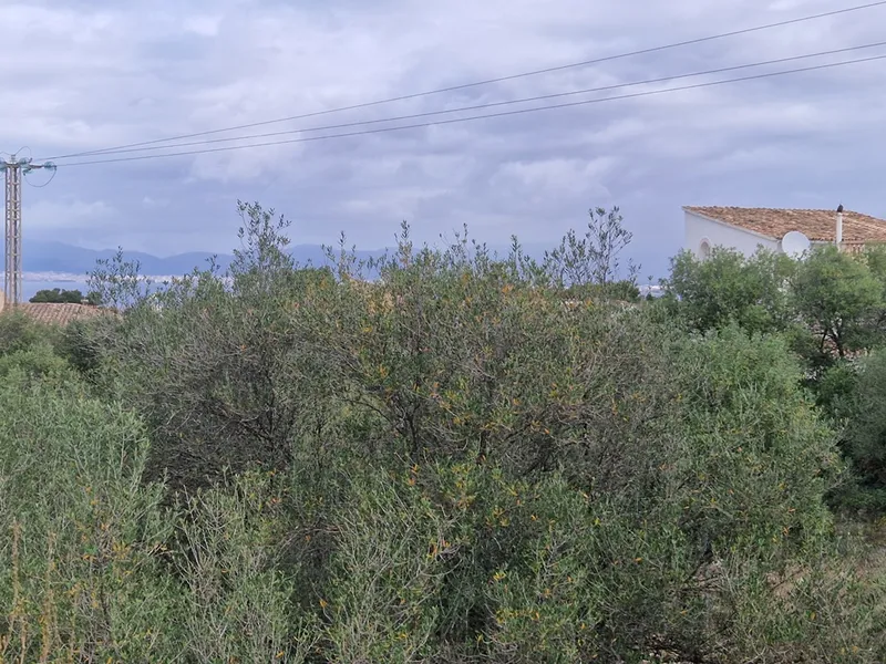 Building land with sea views, Bellavista, Cap Enderrocat, Llucmajor — photo 1