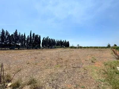 Rustic property in Llubí with 257 m² built and 7,527 m² plot, 1 room — photo 9