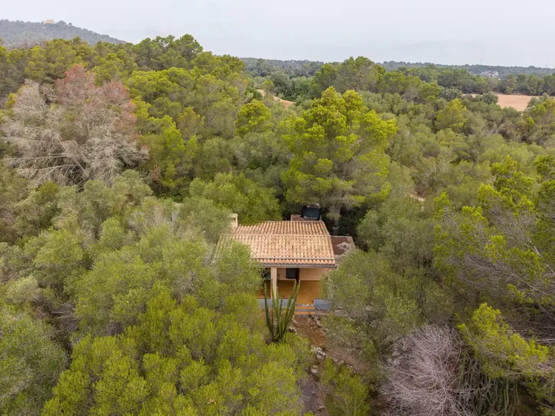 If you are looking for a refuge to enjoy the tranquility of the Mallorcan countryside, surrounded by nature and with excellent connections, this pro — photo 5