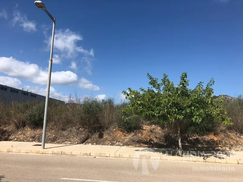 Land — photo 5