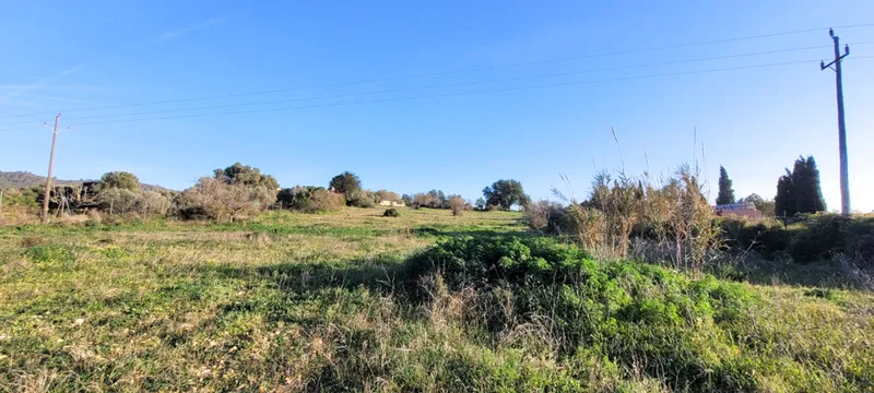 Spacious plot (7,083 m²) in Llucmajor – pure nature! — photo 3