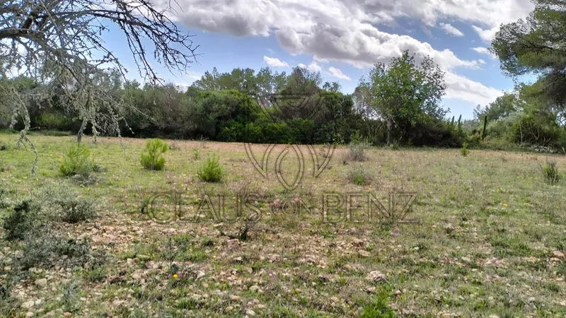 Felanitx – Fantastic plot with panoramic views — photo 9
