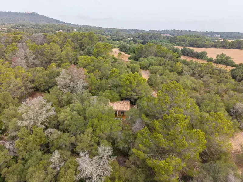 If you are looking for a refuge to enjoy the tranquility of the Mallorcan countryside, surrounded by nature and with excellent connections, this pro — photo 3
