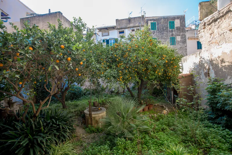 Spacious apartment in a quiet area of the Old Town – Monti-Sión — photo 11