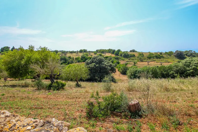 Discreet Listing - Exceptional Ecological Estate near Manacor — photo 4