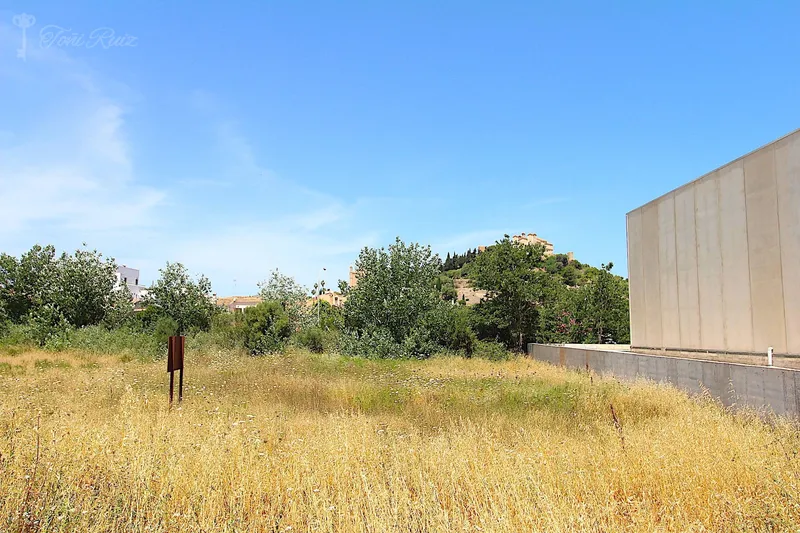 S12 - Industrial Plot in Arta — photo 2