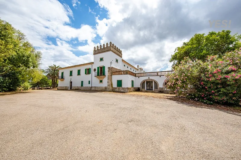 Finca with forest land and large agricultural territory in Maria de la Salud Mas — photo 2