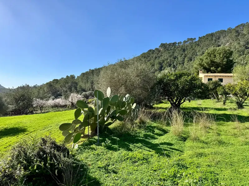 Rustic country property in a prime location in the mountains of Sa Coma, a very peaceful and welcoming village in the municipality of Andratx — photo 3