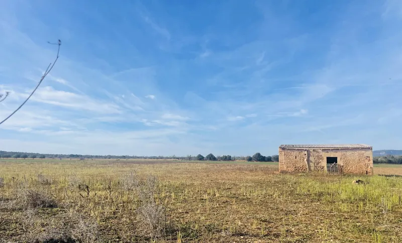 Buildable plot in Campos with basic project — photo 7