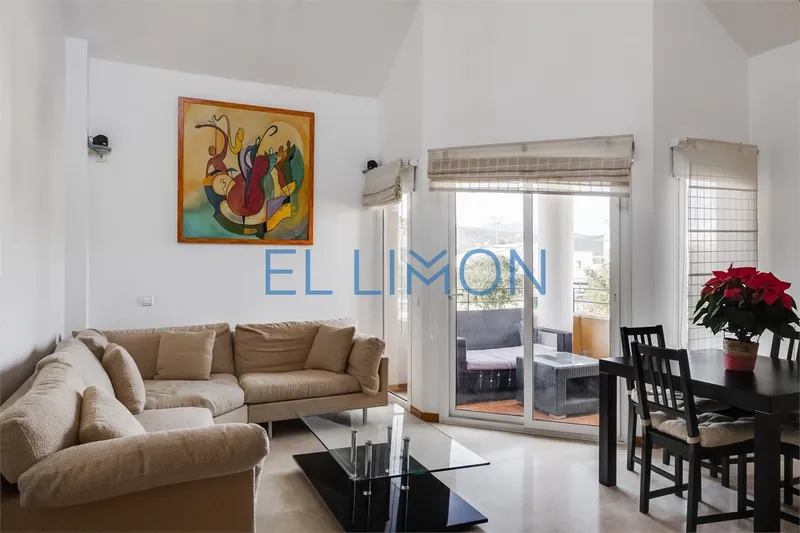 Apartment with terrace in school area — photo 3