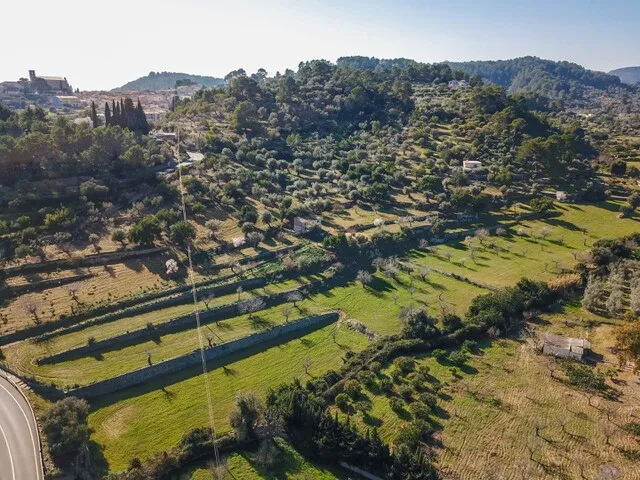 Beautiful plot for sale with 'bancales' between Selva and Caimari, Mallorca — photo 11