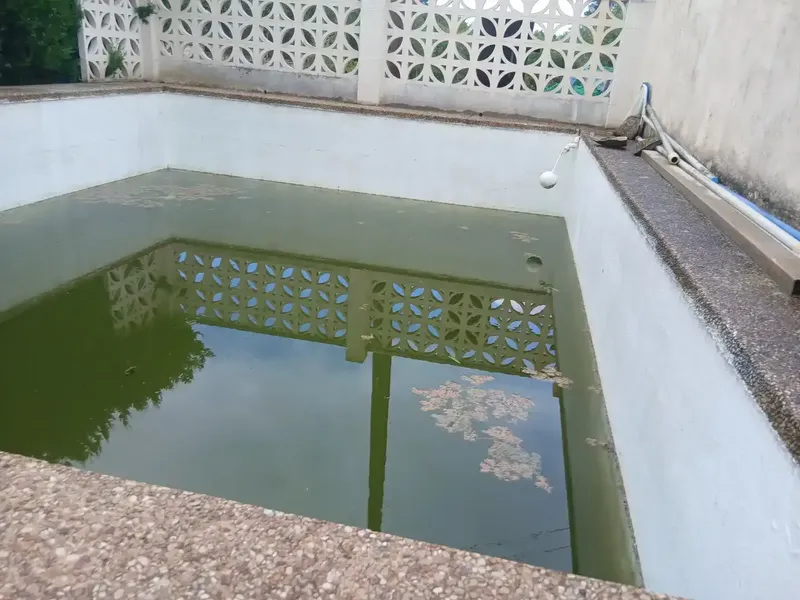 vendo hermosa finca en inca, tiene 1700 m2 de solar, con un chalet de140 m2 escriturados,la vivienda.tiene agua del puebloy luz de gesa , y  — photo 2