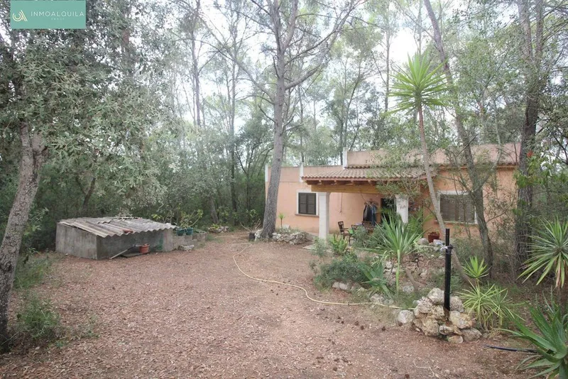 Rural or Farmhouse in Sineu, Province of Balearic Islands — photo 2