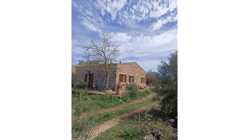 Rustic house with garden for sale in Vilafranca de Bonany — photo 3