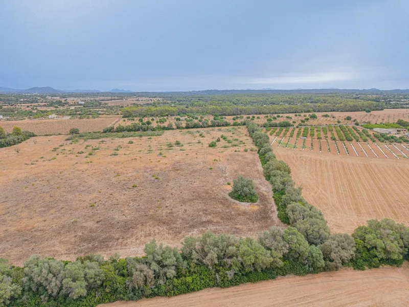 Rustic plot of 31,662 m² in Sencelles — photo 5