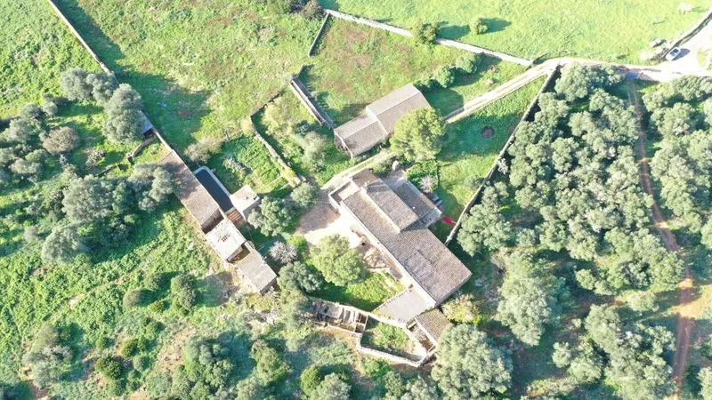Big finca near Campos with many possibilities — photo 1