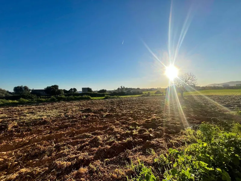 Land in Son Ferriol, Province of Balearic Islands — photo 4
